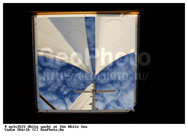 ����, �����, �����, ����, ��������, ��� �������, ������