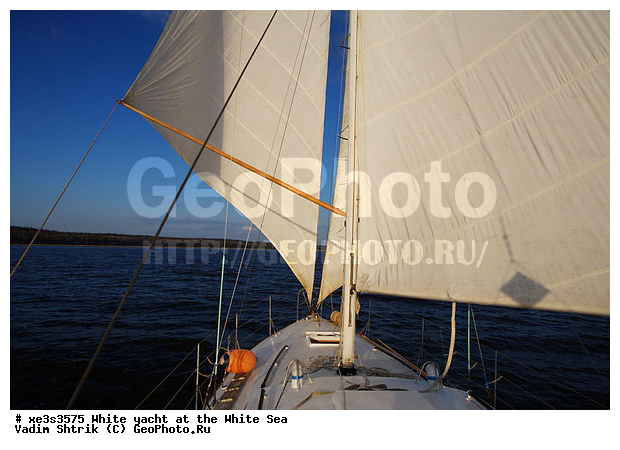 ����, �����, �����, ����, ��������, ��� �������, ������