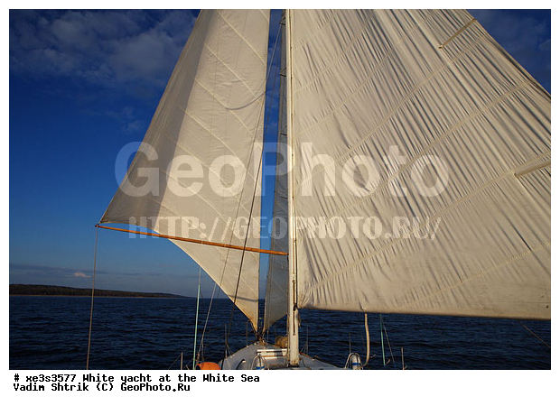 ����, �����, �����, ����, ��������, ��� �������, ������