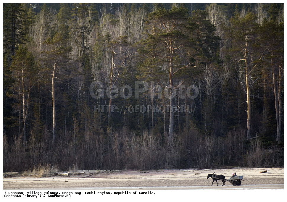 �������, �������,�������� �����, �������� �����, ���������� �������, ������, �������� ������