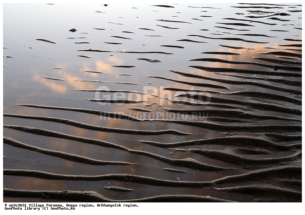 ���� ��������, �������� �����, ������������� �������, �������� ������