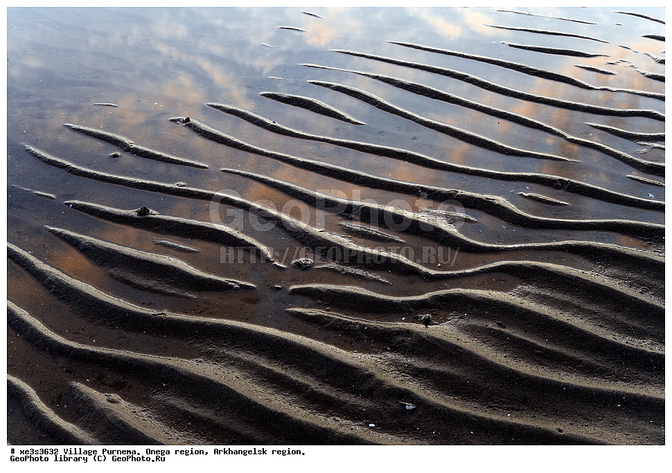 ���� ��������, �������� �����, ������������� �������, �������� ������