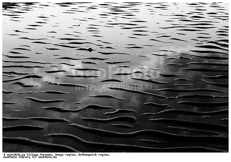 ���� ��������, �������� �����, ������������� �������, �������� ������