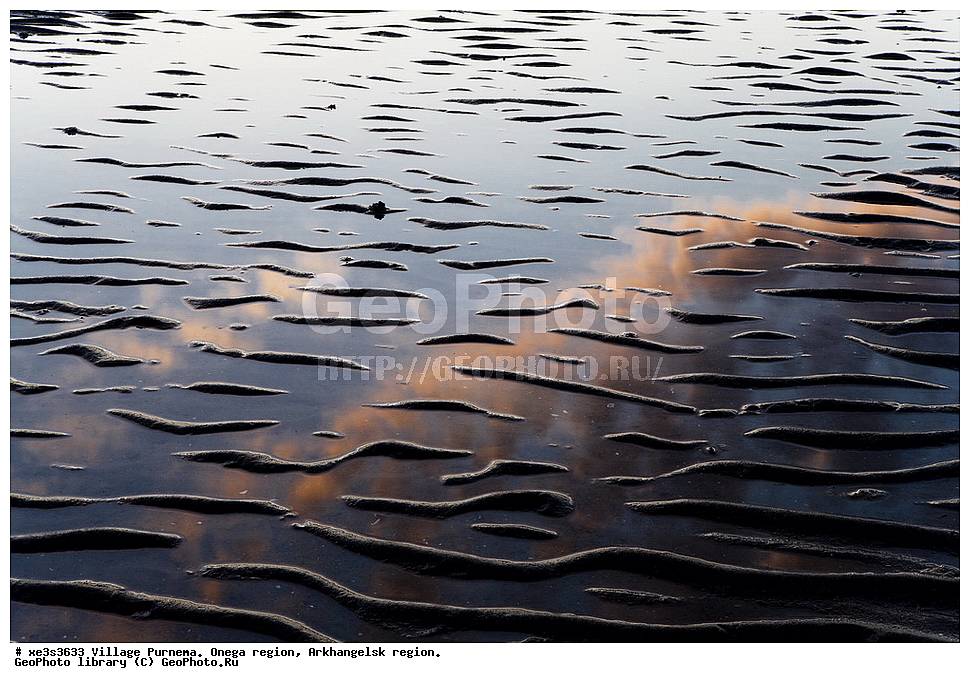 ���� ��������, �������� �����, ������������� �������, �������� ������