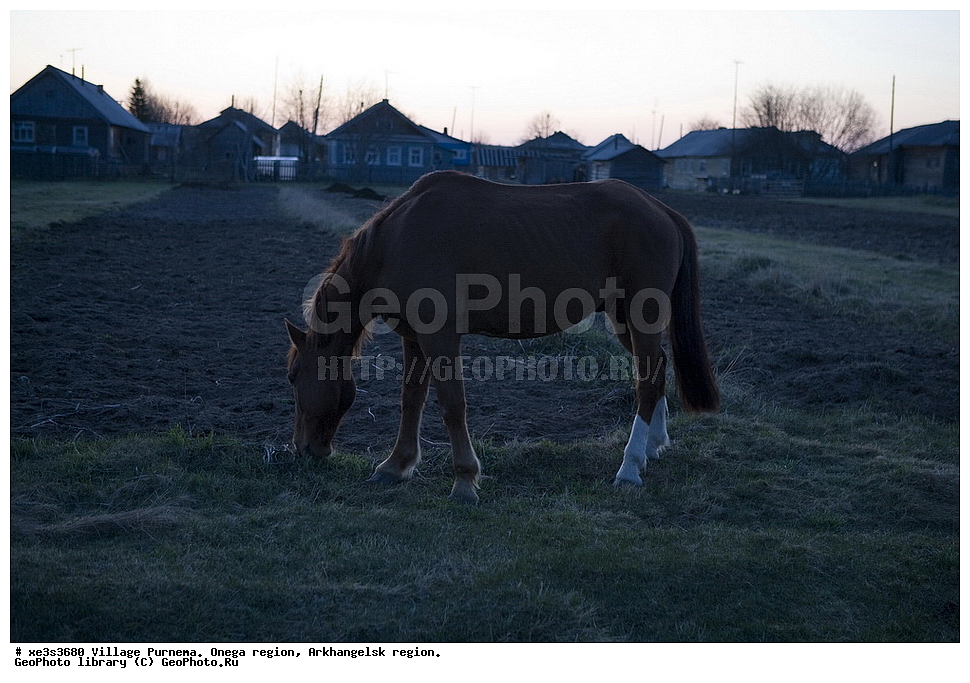 ���� ��������, �������� �����, ������������� �������, �������� ������