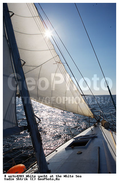 ����, �����, �����, ����, ��������, ��� �������, ������