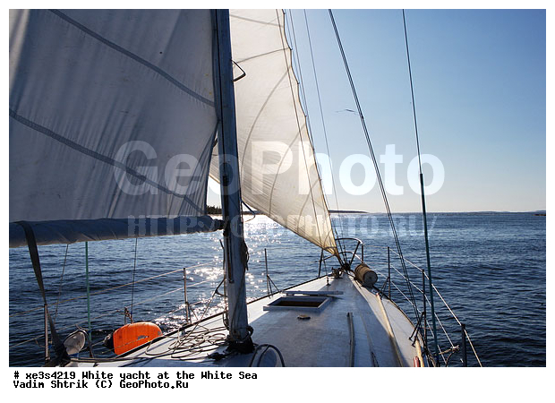 ����, �����, �����, ����, ��������, ��� �������, ������