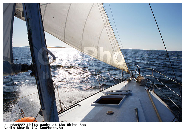 ����, �����, �����, ����, ��������, ��� �������, ������