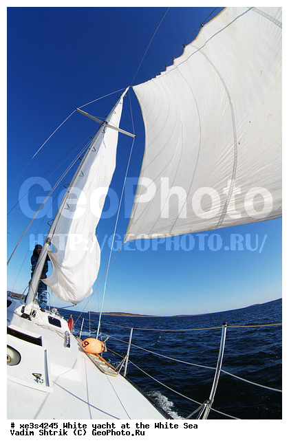 ����, �����, �����, ����, ��������, ��� �������, ������