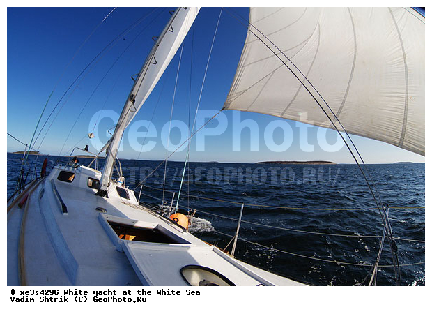 ����, �����, �����, ����, ��������, ��� �������, ������