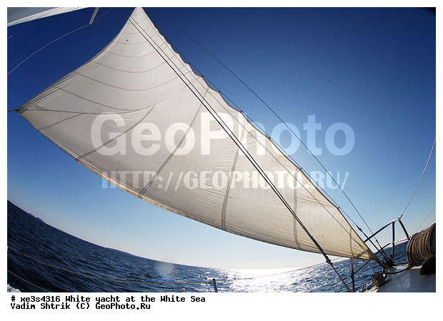 ����, �����, �����, ����, ��������, ��� �������, ������