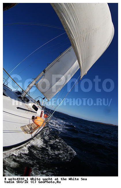 ����, �����, �����, ����, ��������, ��� �������, ������