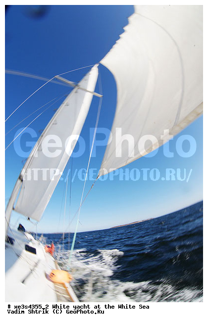 ����, �����, �����, ����, ��������, ��� �������, ������