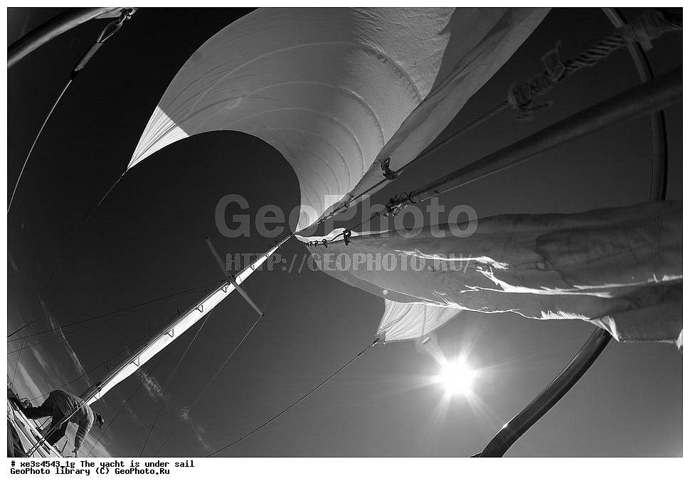 ����, �����, ����, ����� ����