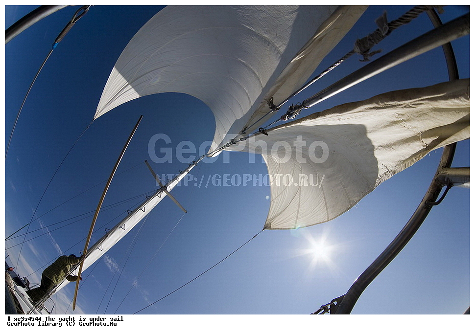 ����, �����, ����, ����� ����