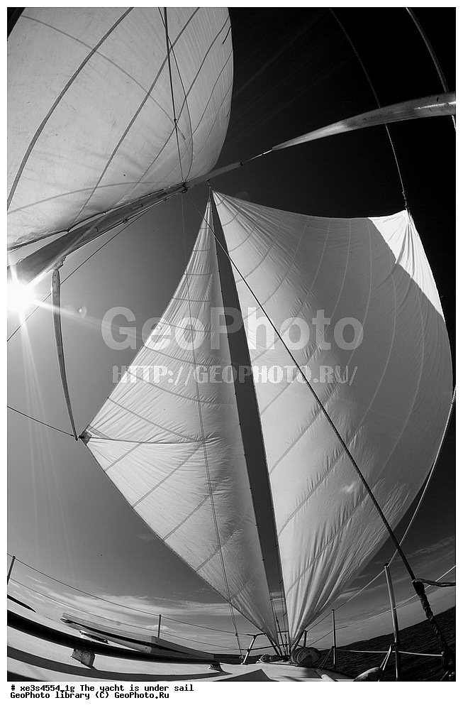 ����, �����, ����, ����� ����