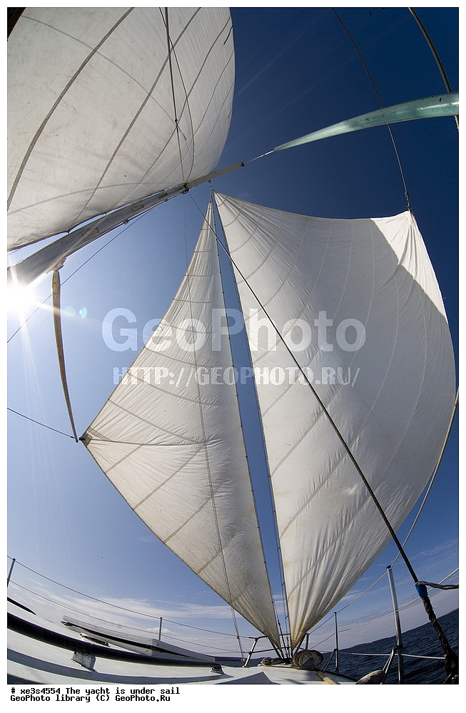 ����, �����, ����, ����� ����