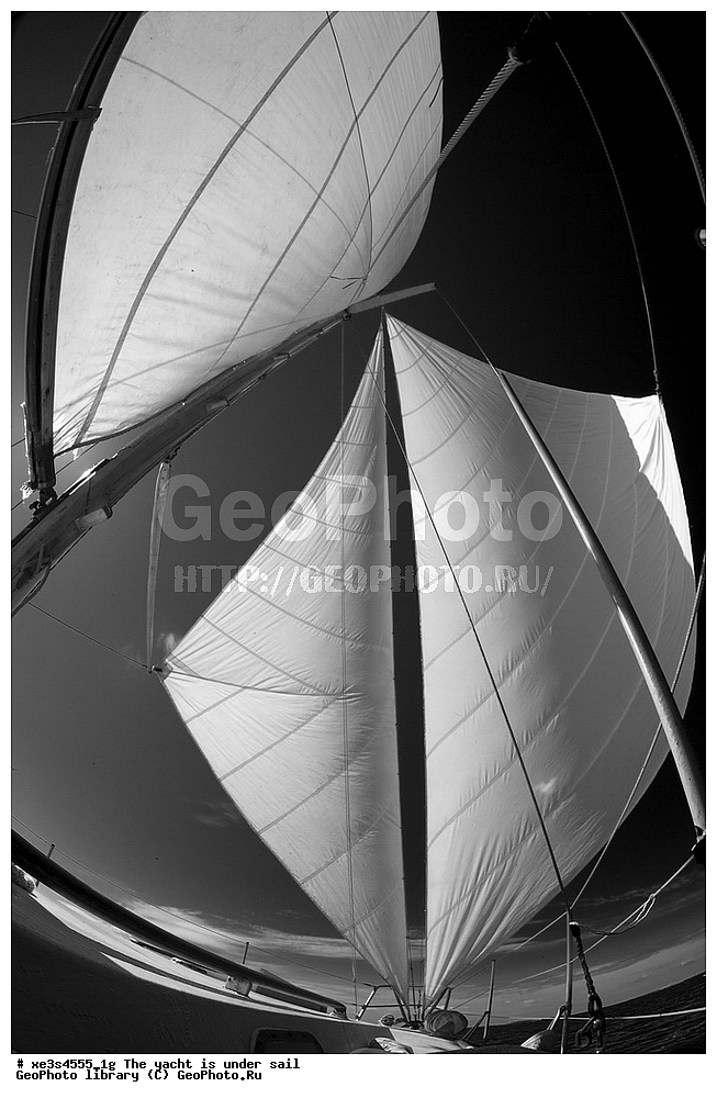 ����, �����, ����, ����� ����