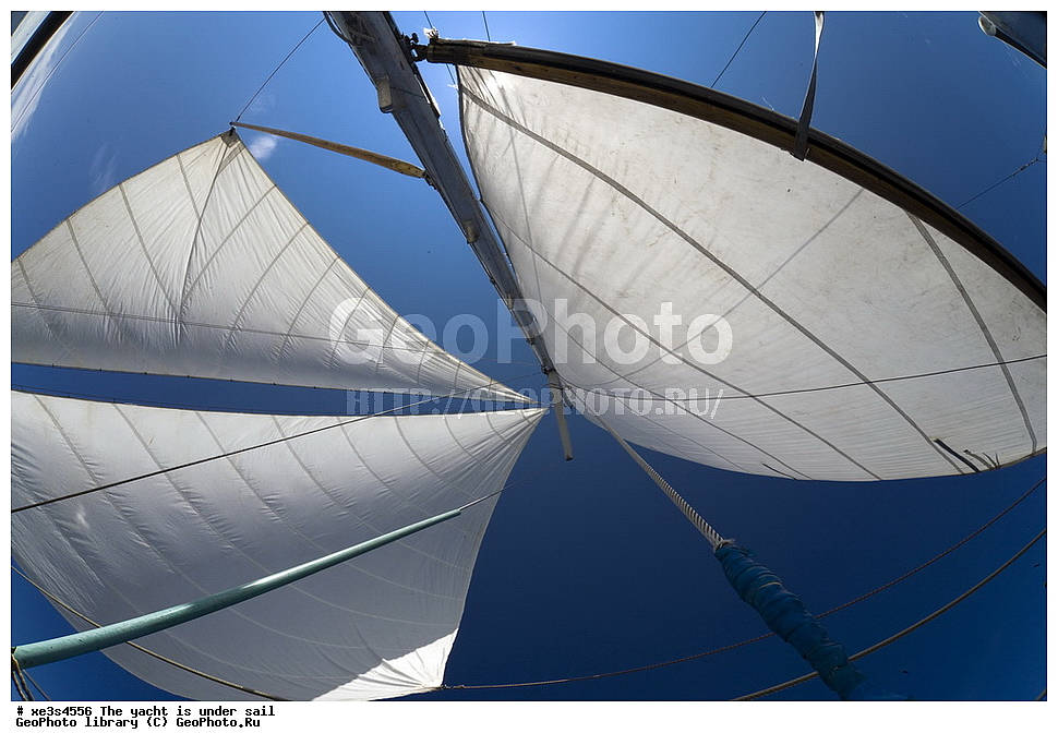 ����, �����, ����, ����� ����