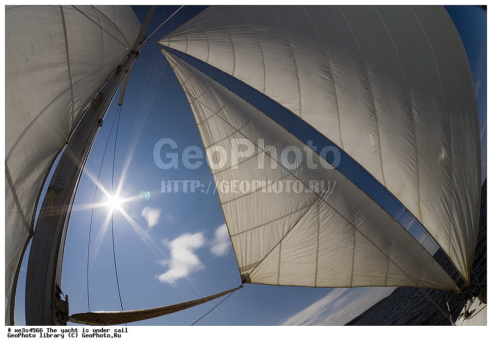 ����, �����, ����, ����� ����