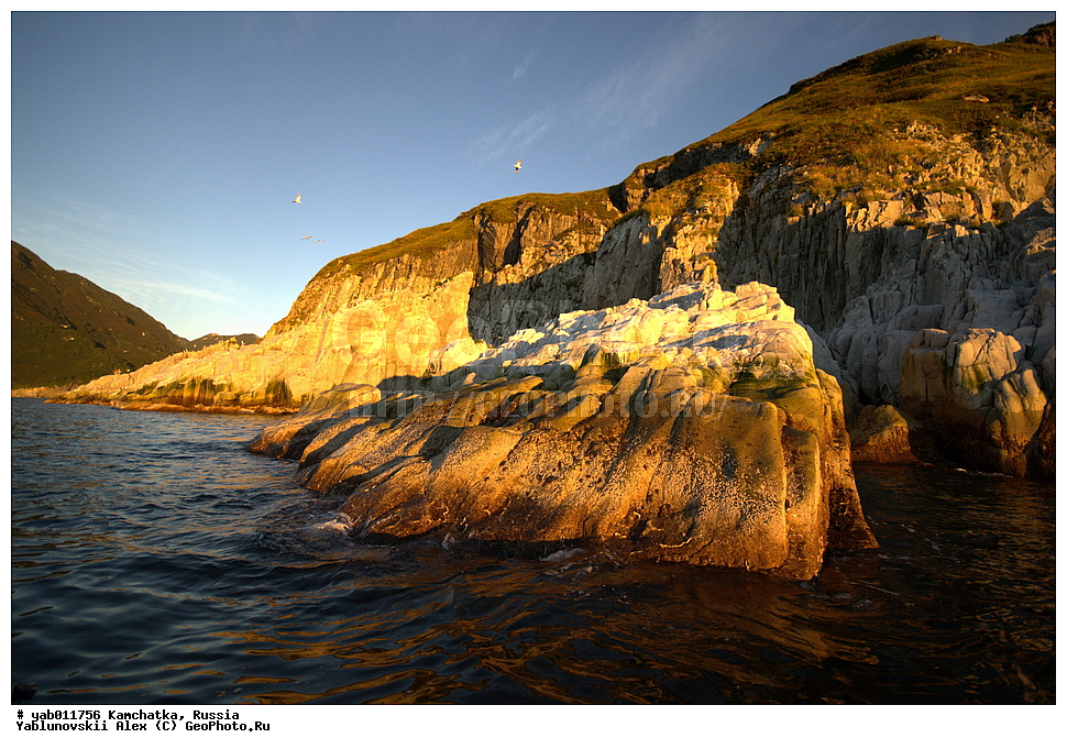 ����� �����, ���������� ��������, ���������� ����, ��������, ������