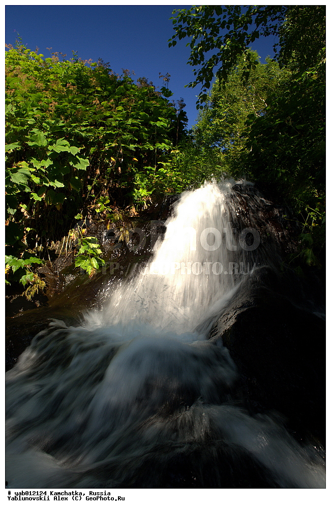 ��������, ���������� ��������, ���������� ����, ��������, ������