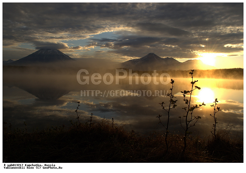 �������, ���������� ��������, ���������� ����, ��������, ������