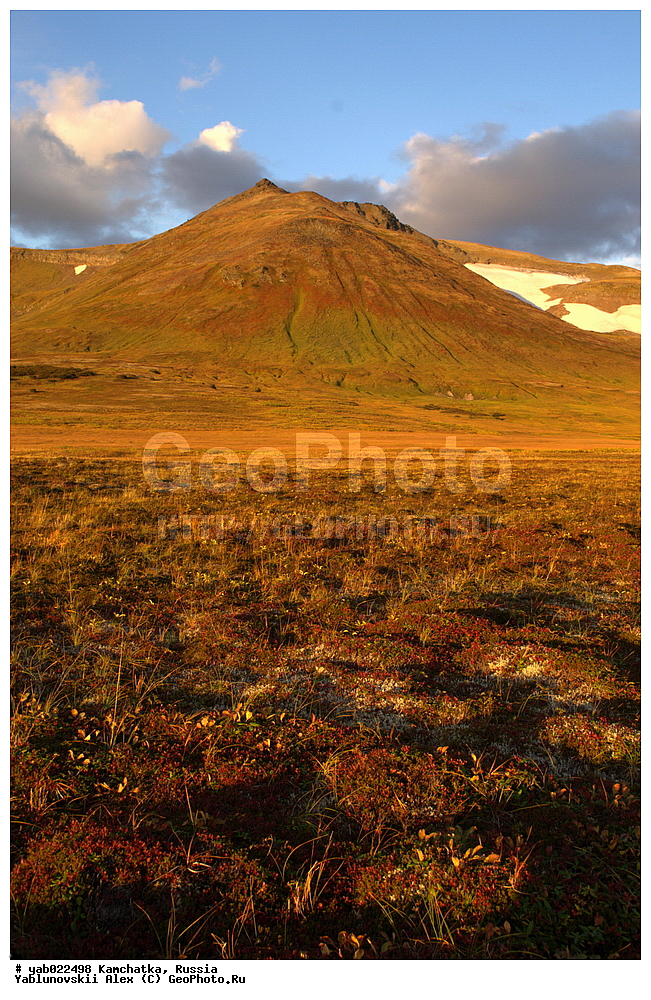 ��������, ������, ������, ����������, ���������� ����