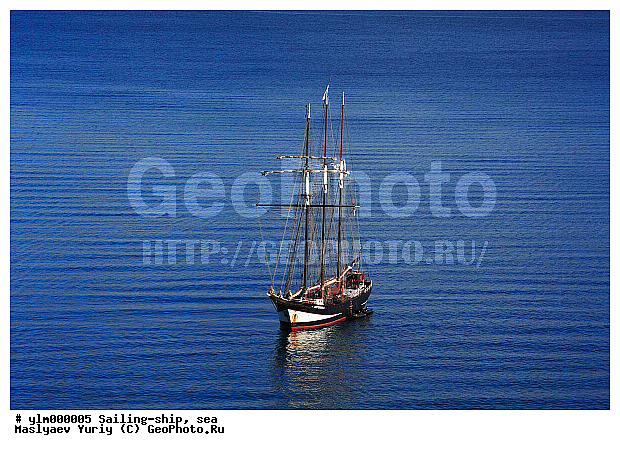 �������, ����, �������� ����, ��������, �������� �����, �����, ����, ������