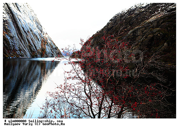 �����, ������, ����, ������� �����, �����, �����, �����, �����, ������, �����