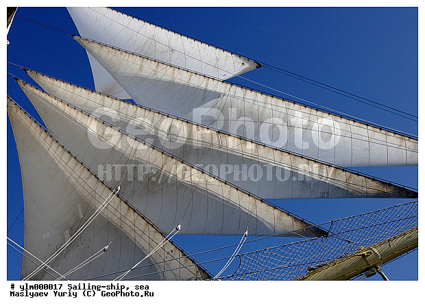 �������, �����, ������, �������� ����, ��������, ��������, ��������, �����, ����, ������