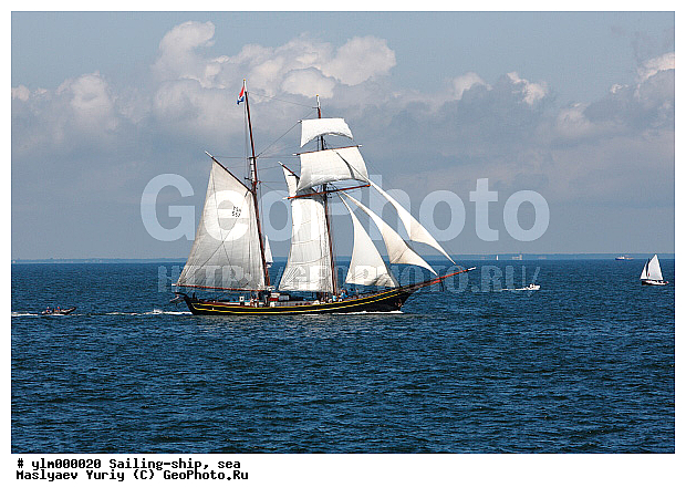 �������, ����, �����, ������, �������� ����, ��������, �������� �����, ��������, �����, ����, ������