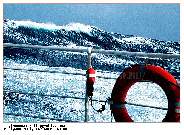 �����, ����, ������, ������������ ����, �����, ��������, ��������� ����, ���������