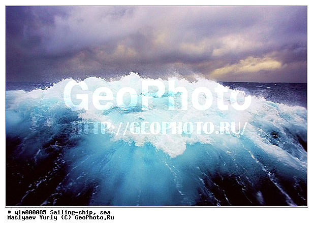 �����, ����, �����, ��������, ��������� ����, ���������