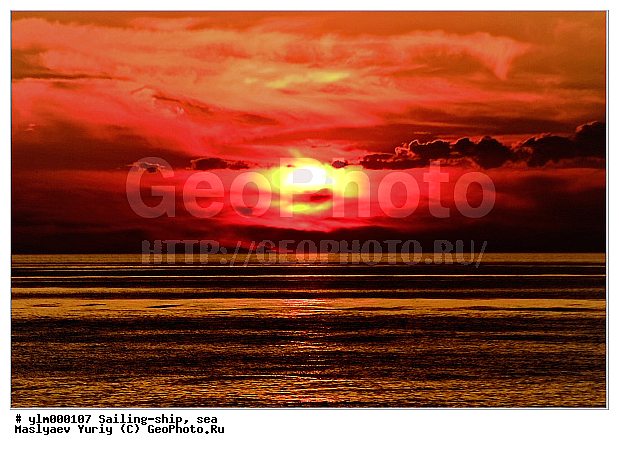 �����, �������, ����, ������