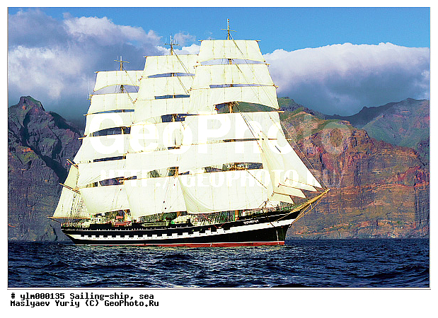 �����, �������, ����, �����, ������, �������� ����, ��������, �������� �����, ��������, �����, ����, ������