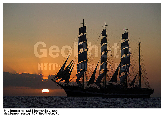 �����, �������, ����, �����, ������, �������� ����, ��������, �������� �����, ��������, ������, �����, ����, ������