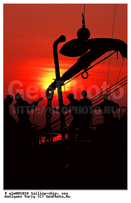 �����, �������, �������, ����, �����, ������, �������� ����, ��������, �������� �����, ������, �����, �������, ����, ������