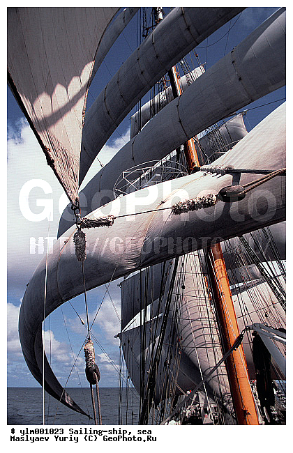 �������, �����, ������, �������� ����, ��������, �������� �����, ��������, �����, ����, ������