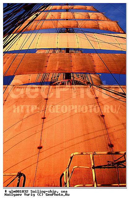 �������, �����, ������, �������� ����, ��������, �������� �����, ��������, �����, ����, ������