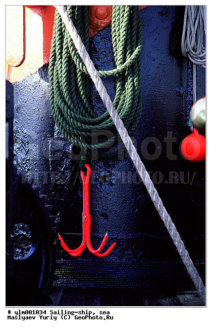 �������, �������, �������� ����, ��������, �������� �����, �����, �����, ����, ������