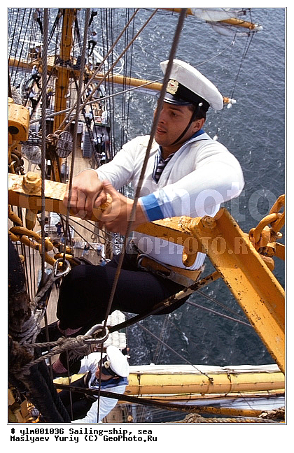 �������, ������, ������, �����, �������� ����, ��������, �������� �����, �����, ����, ������