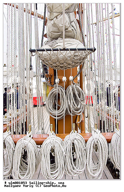 �������, �����, �������, �������� ����, ��������, �������� �����, �����, ����, ������