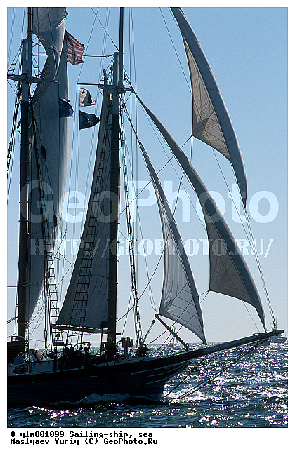 �������, ����, �����, ������, �������� ����, ��������, �������� �����, ��������, �����, ����, ������