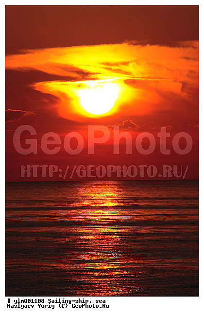 �����, �������, ����, ������