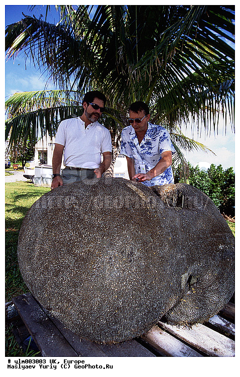 ���������� �������, �������, ����, �������, ����, ����, �����, ��������� ����, �������������� ����