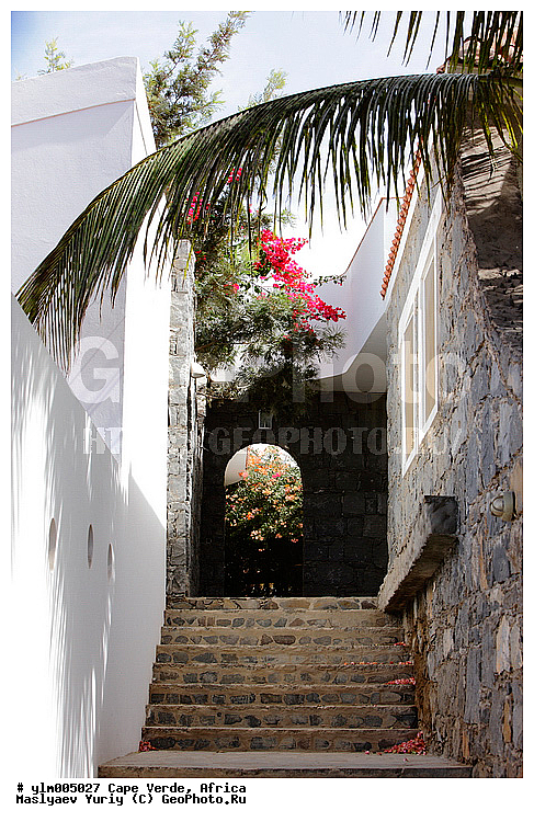 ������, ����-�����, ������, �����, ����, ������, ���������, ��������, �����, �����, �������, ��������, ������, ��������