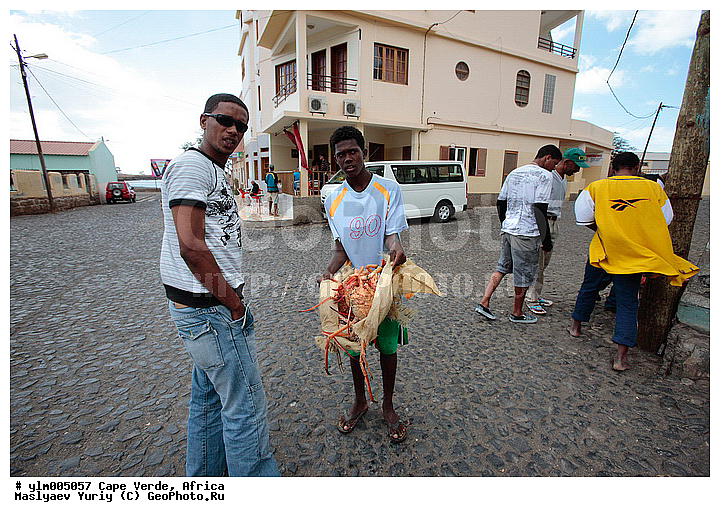 ������, ����-�����, ���������, ���������, ������, ����, �����, ����, �������, �������� ����, ������������, �����, ����������