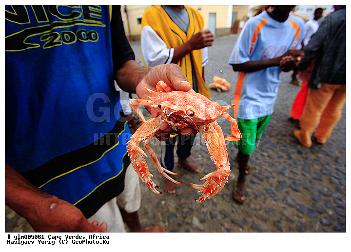 ������, ����-�����, ������, ����, �����, ���, ����, ������������