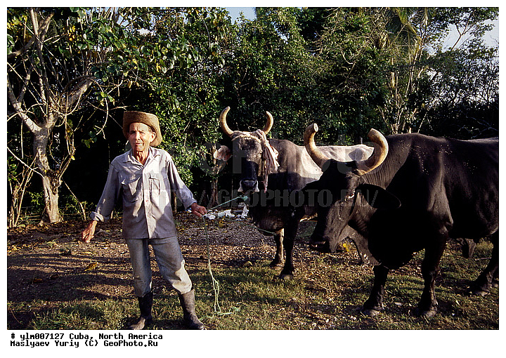 ������, ����, �������� �������, ����������, ����������, ������, ������, ����������, �������, �������, �������������, ������, ����, ����, �������